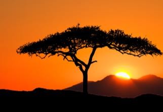 Investor secures funds for African, LatAm PV