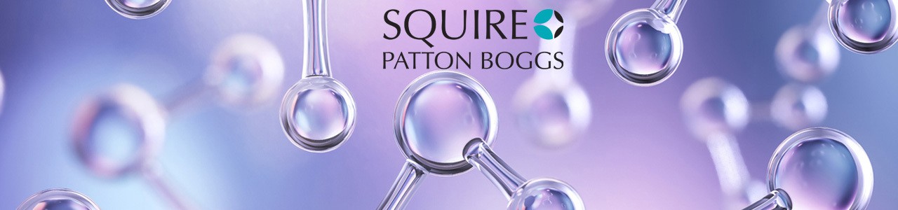 Overcoming the challenges to the development of a hydrogen economy