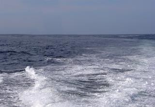 HydroWing unveils plans for Welsh tidal facility