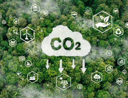 Italy vs. the EU ETS  