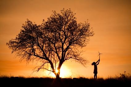 AfDB backs African wind and hydro