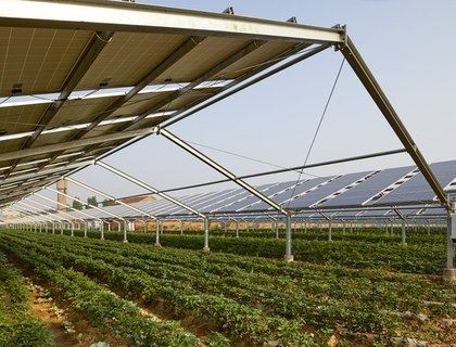 European Energy closes €234m financing for 225MW Sicilian agrivoltaic project