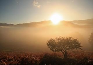 Masdar secures largest solar PV project in Armenia for US$174m