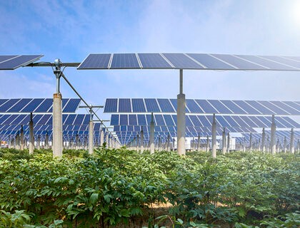 Elgin invests in 190MW Italian agri-solar duo with €150m CapEx