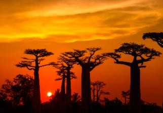 African renewables webinar takeouts: C&I demand to the fore