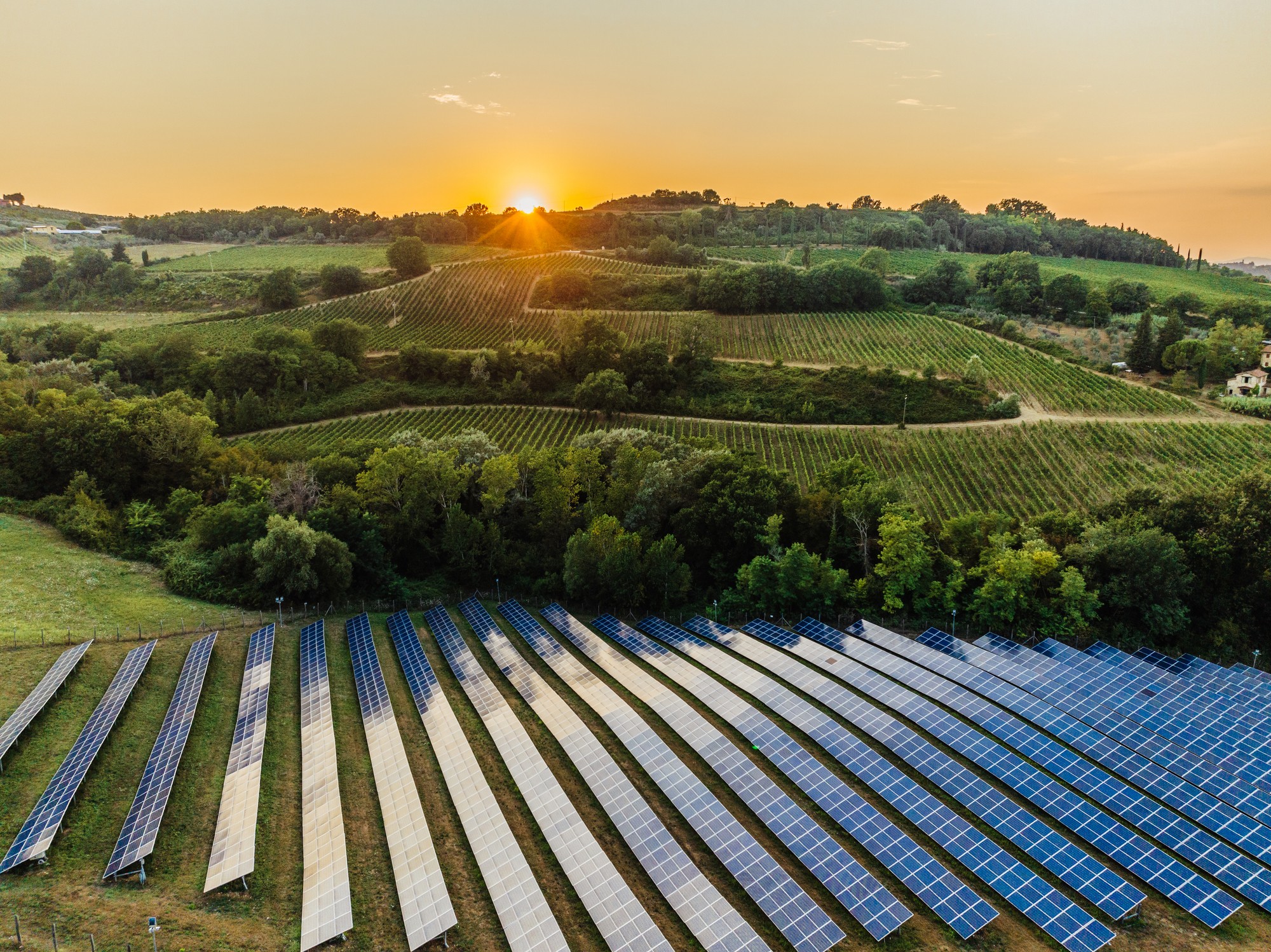 2025 in review: Solar power - The work horse of energy transition